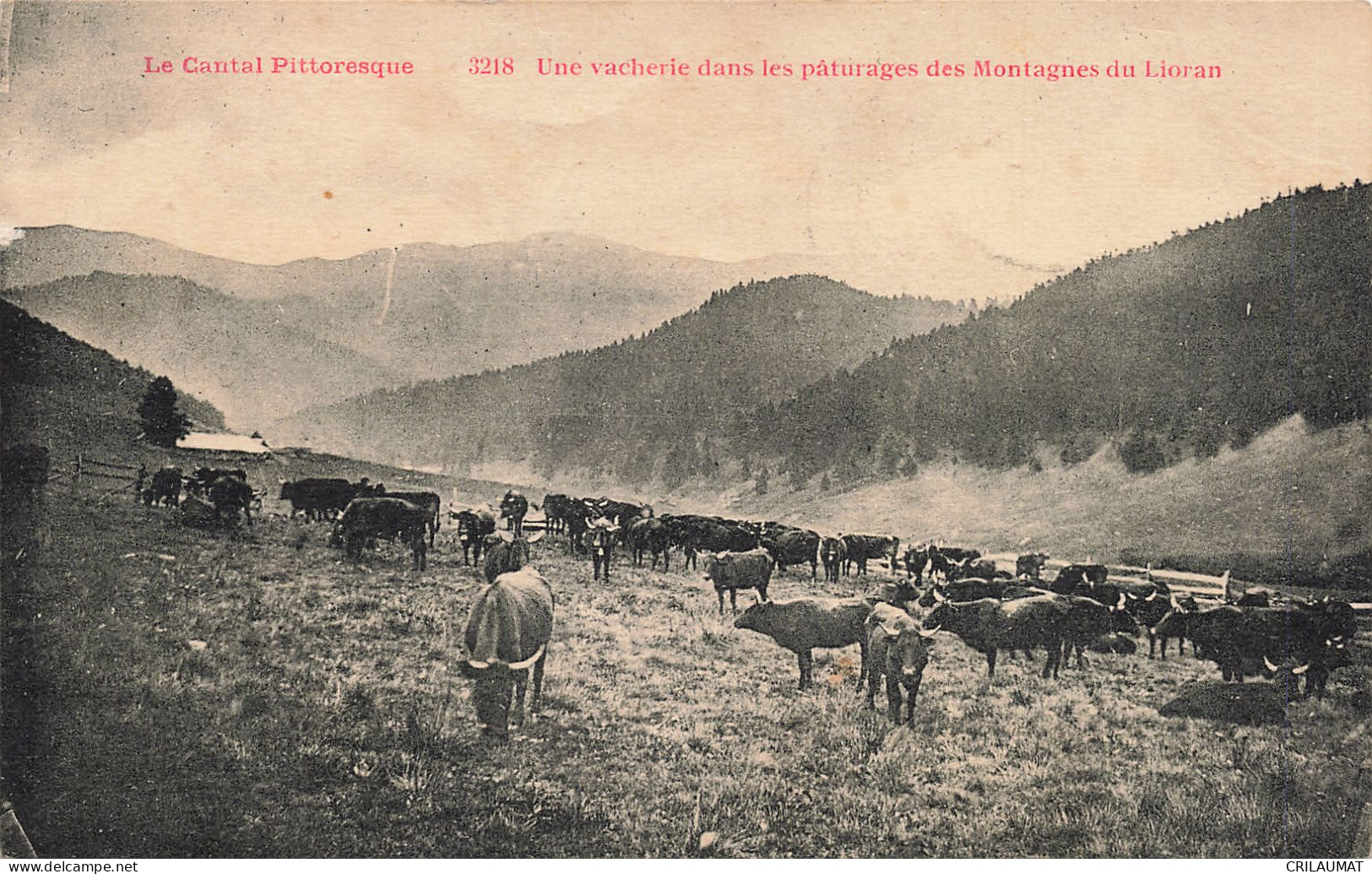 15-LE LIORAN VACHERIE DANS LES PATURAGES DES MONTAGNES-N°T5274-B/0303 - Sonstige & Ohne Zuordnung