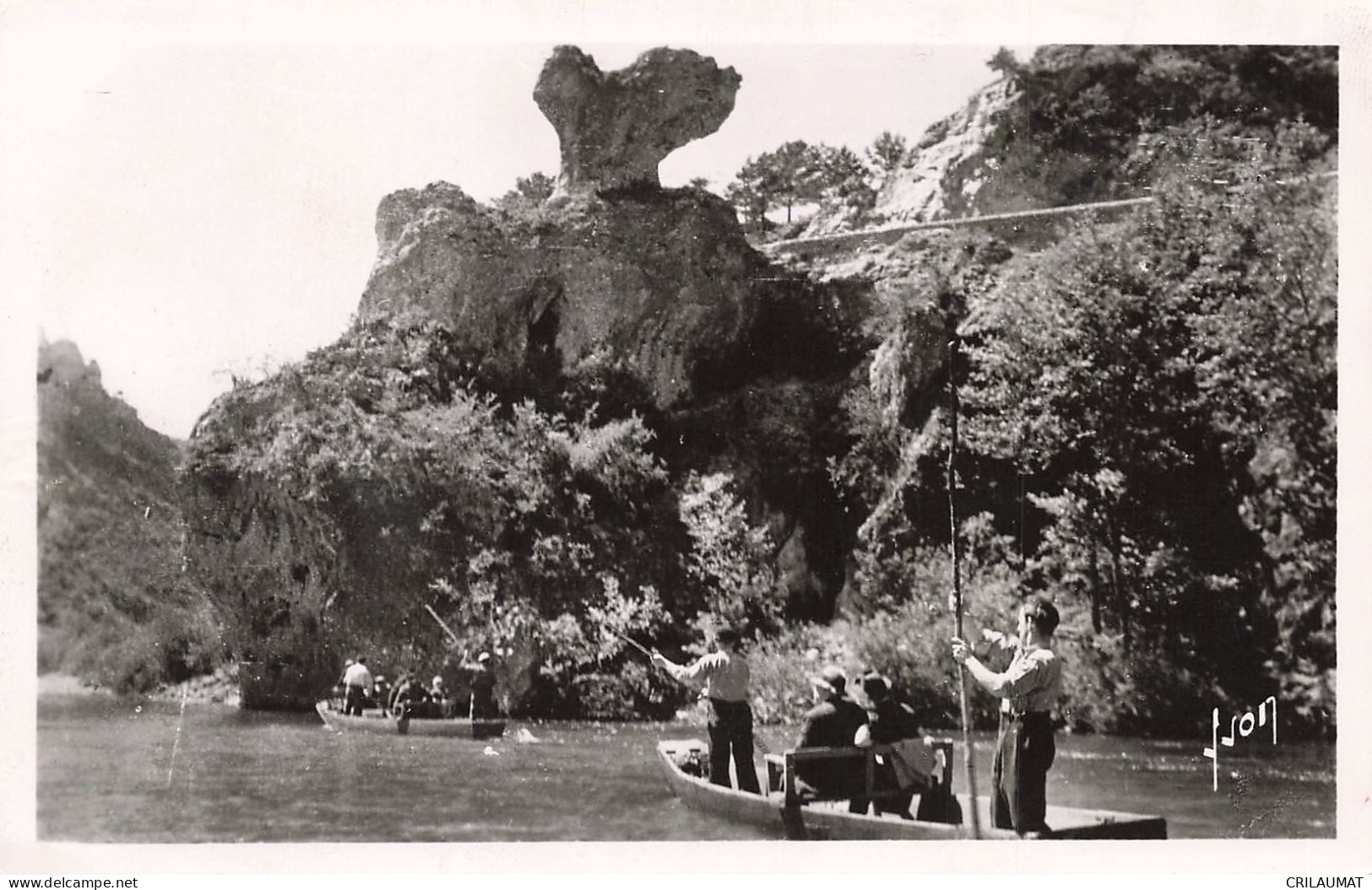 49-GORGES DU TARN ROCHER DU CHAMPIGNON-N°T5274-D/0245 - Gorges Du Tarn