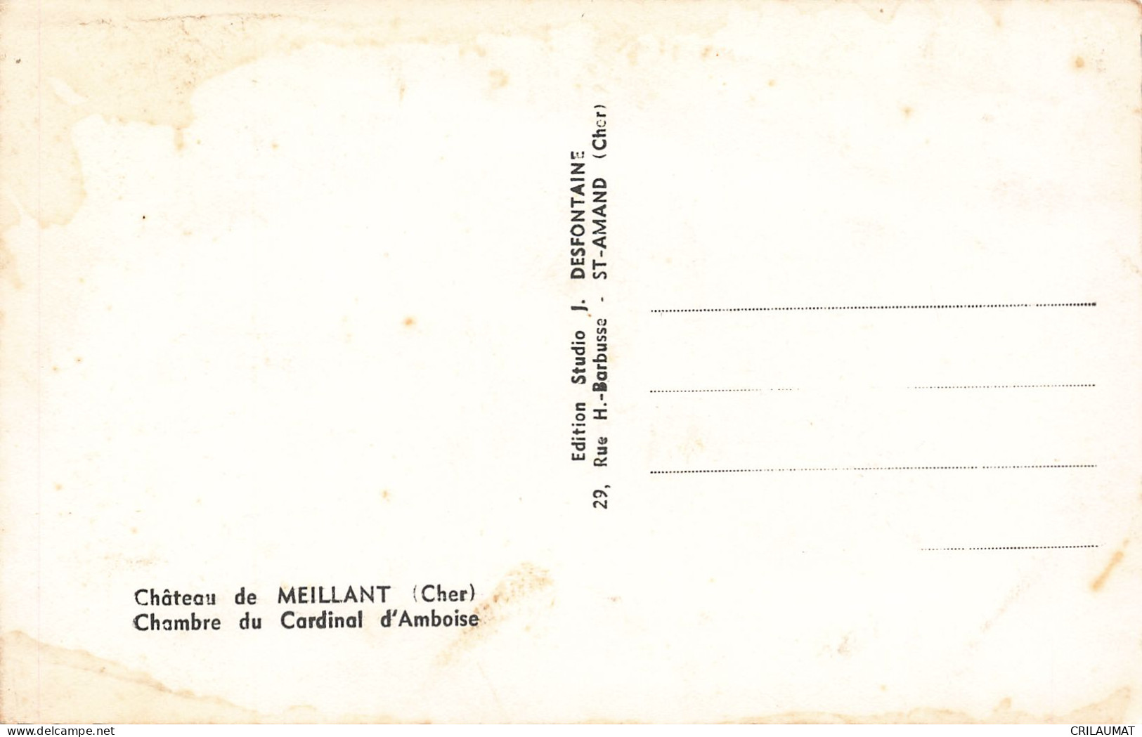 18-MEILLANT LE CHÂTEAU-N°T5274-F/0307 - Meillant