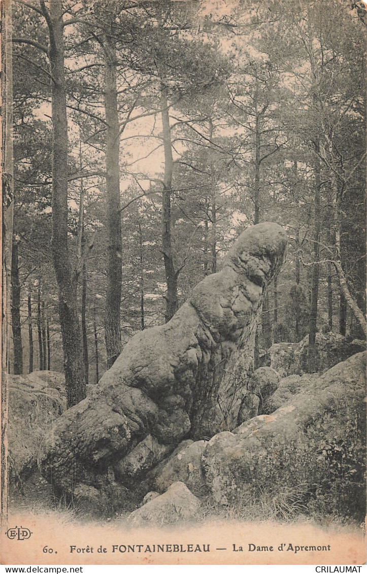 77-FONTAINEBLEAU LA FORET LA DAME D APREMONT-N°T5274-F/0239 - Fontainebleau