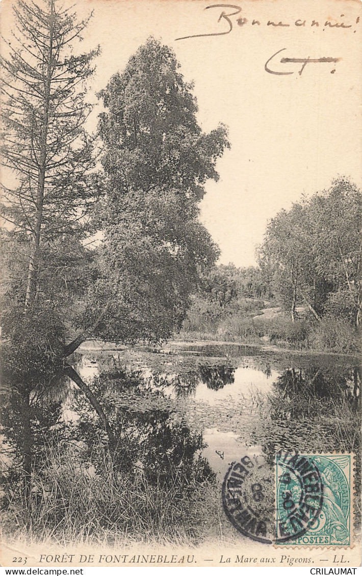 77-FONTAINEBLEAU LA FORET LA MARE AUX PIGEONS-N°T5274-F/0193 - Fontainebleau