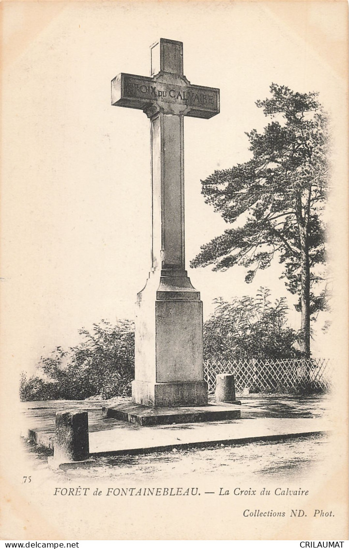 77-FONTAINEBLEAU LA FORET LA CROIX DU CALVAIRE-N°T5274-F/0195 - Fontainebleau