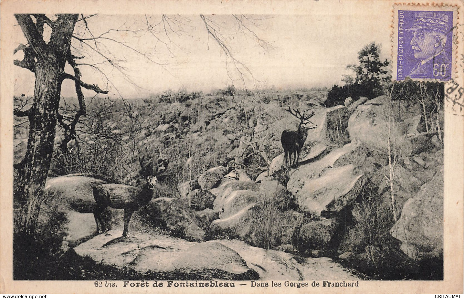 77-FONTAINEBLEAU LA FORET LES GORGES DE FRANCHARD-N°T5275-D/0357 - Fontainebleau