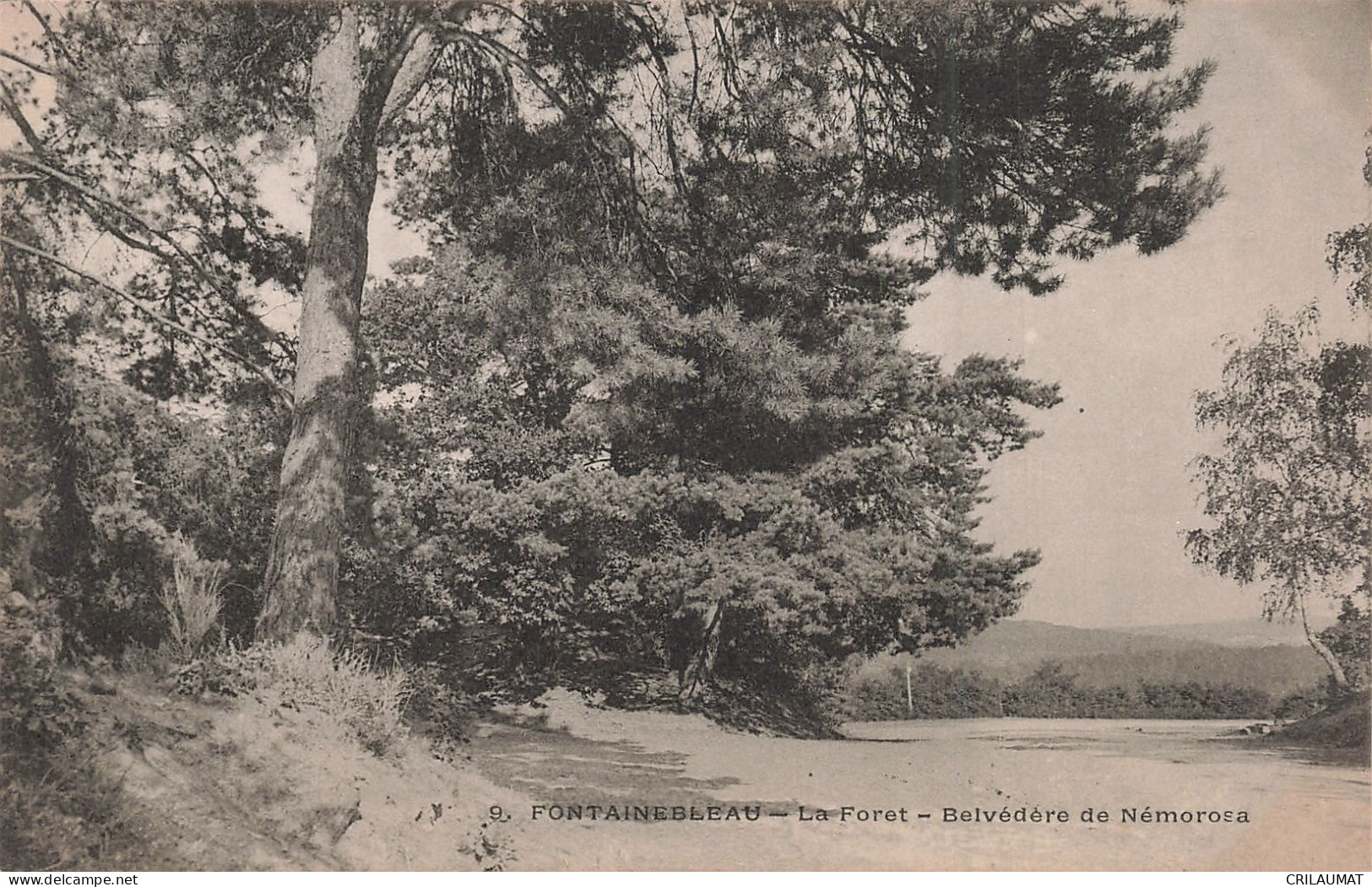 77-FONTAINEBLEAU LA FORET BELVEDERE DE NEMOROSA-N°T5275-G/0061 - Fontainebleau