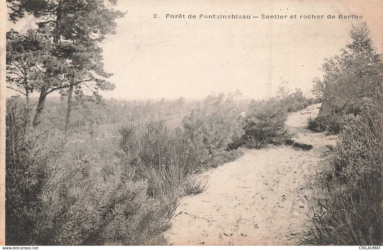 77-FONTAINEBLEAU LA FORET SENTIER ET ROCHER DE BERTHE-N°T5275-G/0069 - Fontainebleau