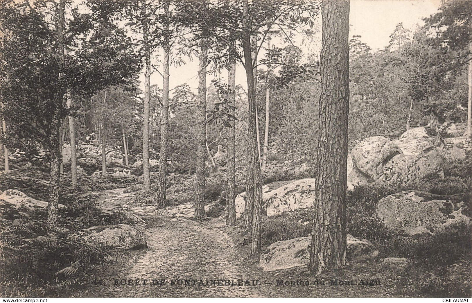 77-FONTAINEBLEAU LA FORET MONTEE DU MONT AIGU-N°T5275-G/0051 - Fontainebleau