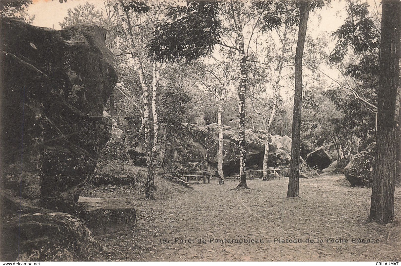 77-FONTAINEBLEAU LA FORET PLATEAU DE LA ROCHE EPONGE-N°T5275-G/0063 - Fontainebleau