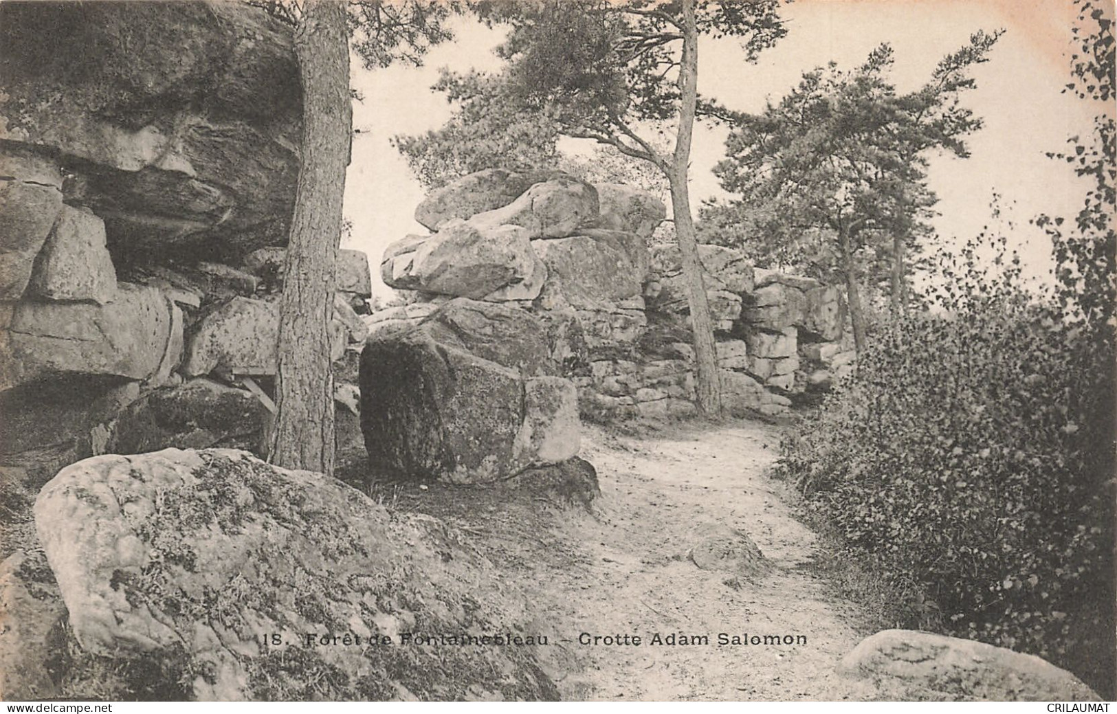 77-FONTAINEBLEAU LA FORET GROTTE ADAM SALOMON-N°T5275-F/0381 - Fontainebleau