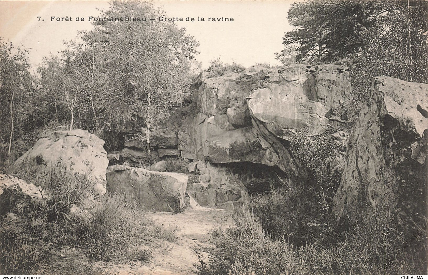 77-FONTAINEBLEAU LA FORET GROTTE DE LA RAVINE-N°T5275-F/0367 - Fontainebleau