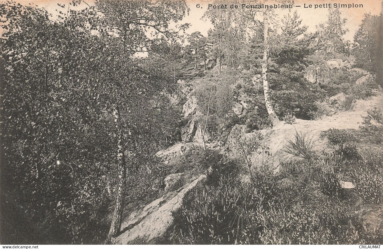 77-FONTAINEBLEAU LA FORET LE PETIT SIMPLON-N°T5275-F/0377 - Fontainebleau