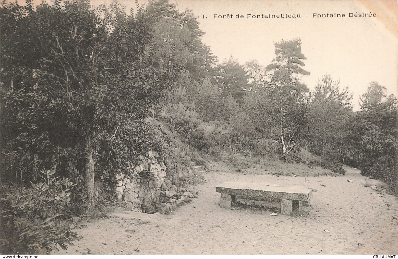 77-FONTAINEBLEAU LA FORET FONTAINE DESIREE-N°T5275-F/0371 - Fontainebleau