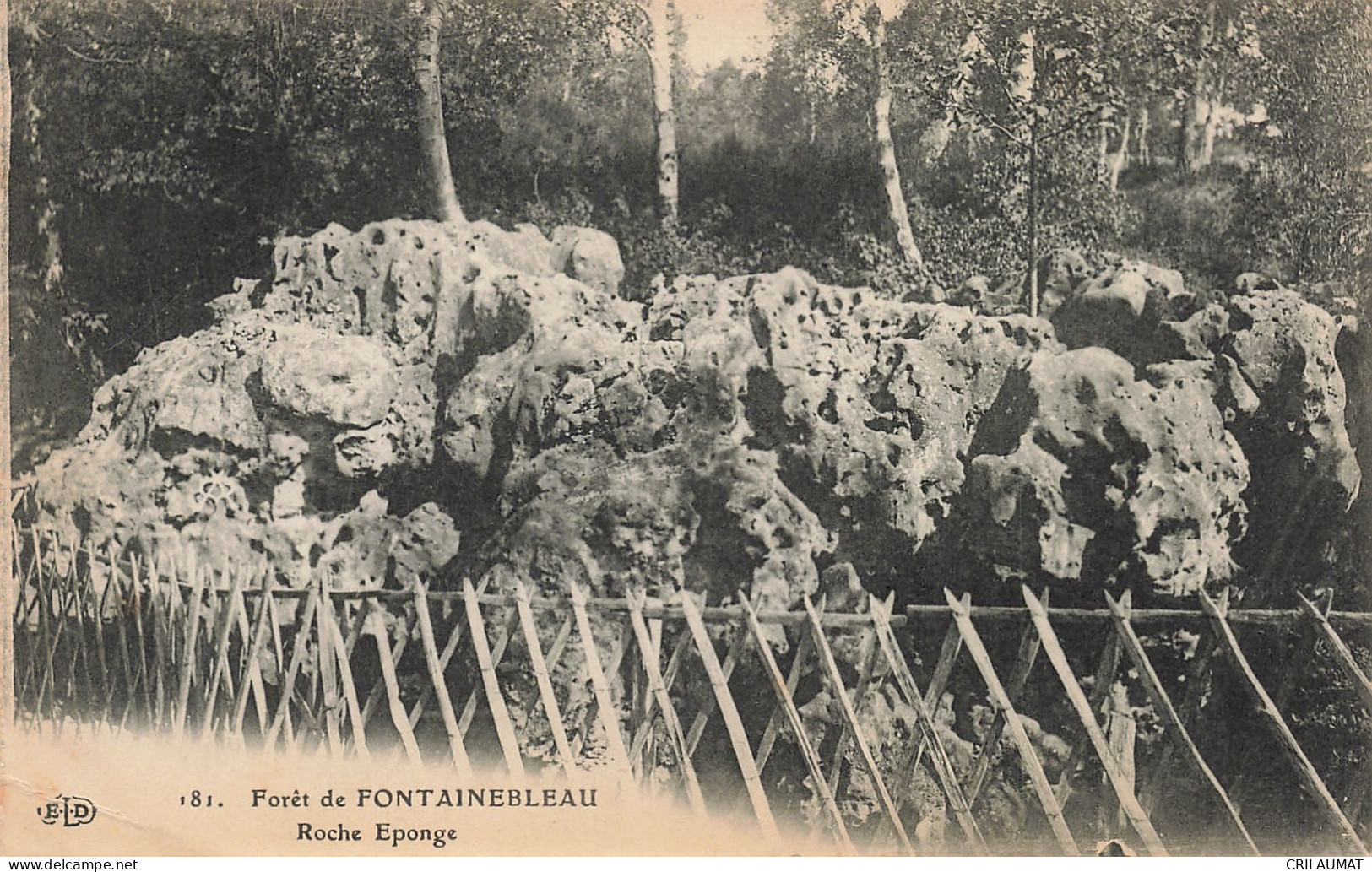 77-FONTAINEBLEAU LA FORET ROCHE EPONGE-N°T5275-E/0291 - Fontainebleau