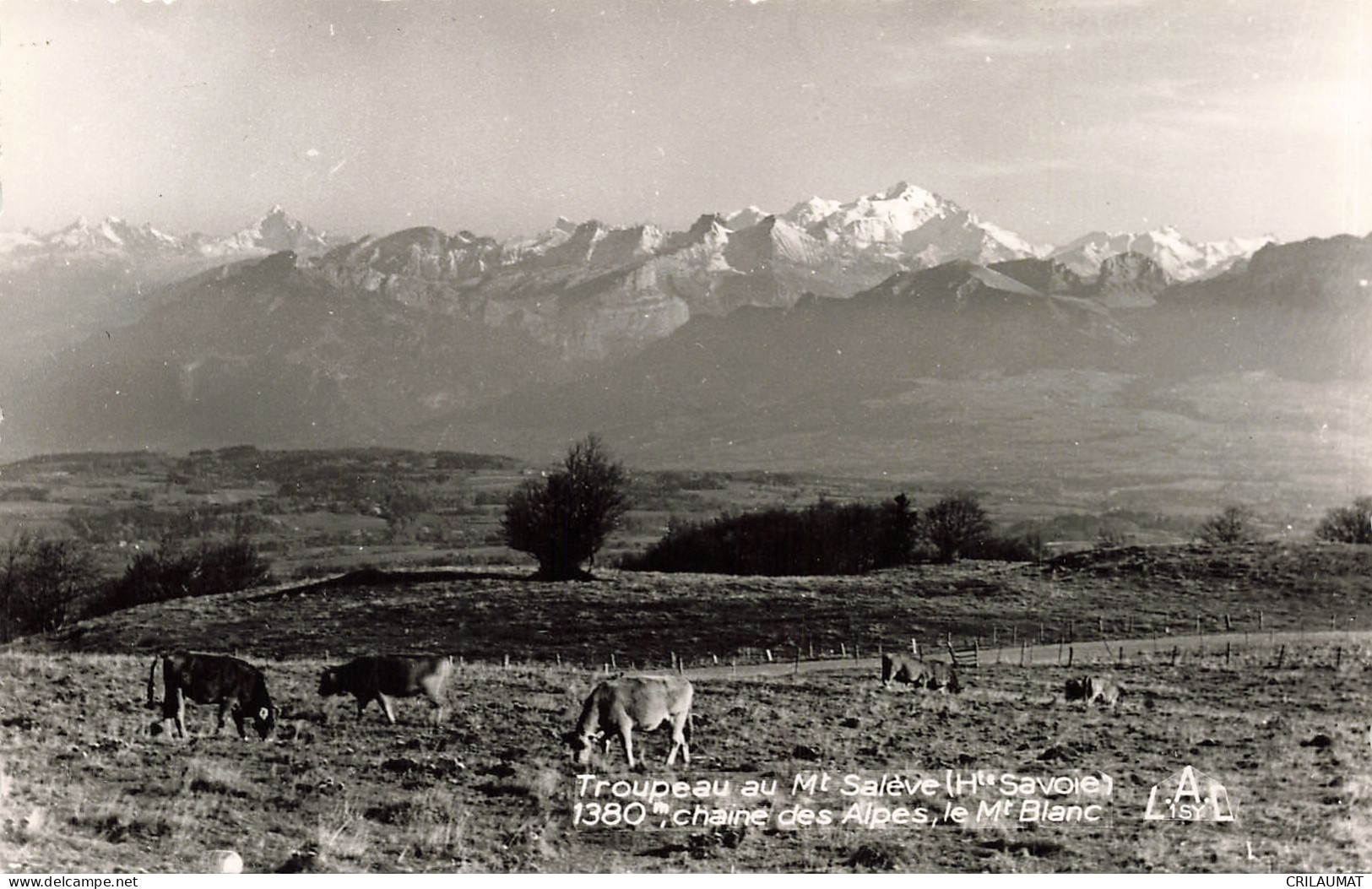 74-LE MONT SALEVE-N°T5275-H/0233 - Otros & Sin Clasificación