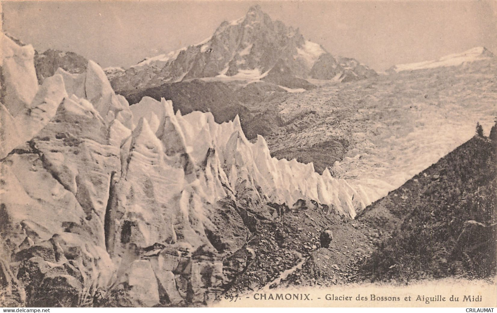 74-CHAMONIX GLACIER DES BOSSONS ET AIGUILLE DU MIDI-N°T5276-F/0289 - Chamonix-Mont-Blanc