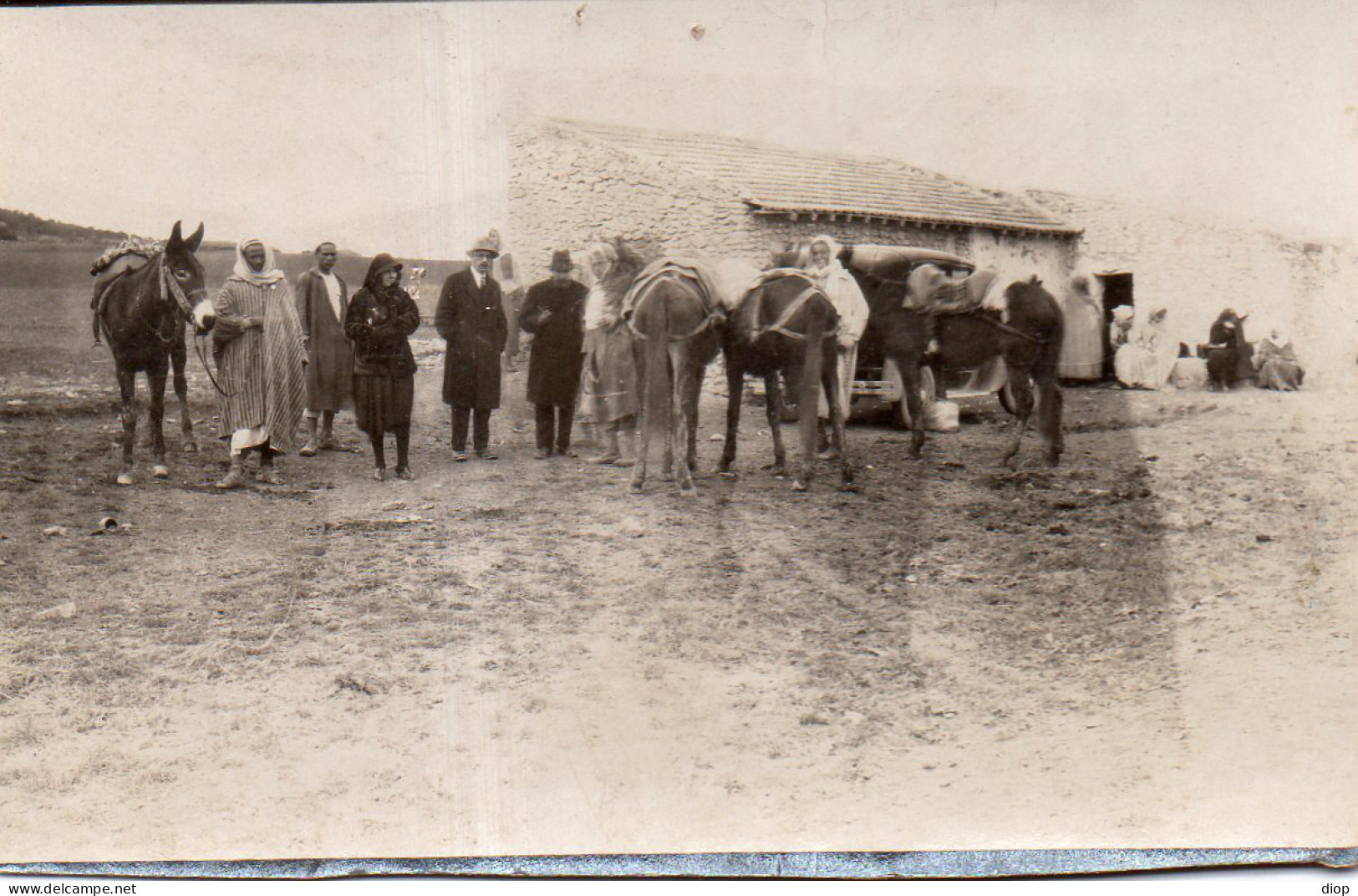 Photo Vintage Paris Snap Shop -Tunisie Groupe Personne Cheval Horse  - Afrika