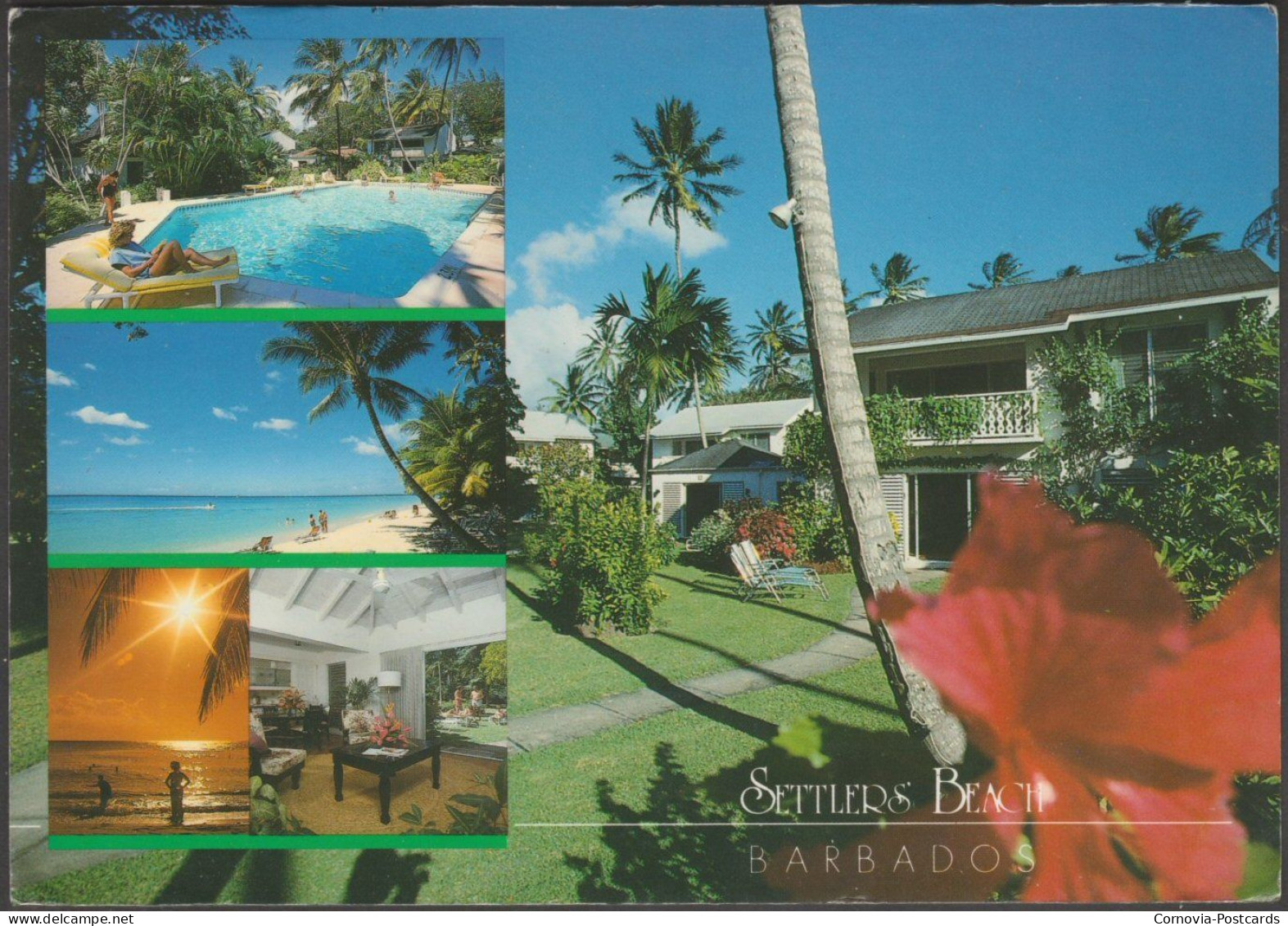 Settlers' Beach, Barbados, 1991 - Multi-Media Productions Postcard - Barbades