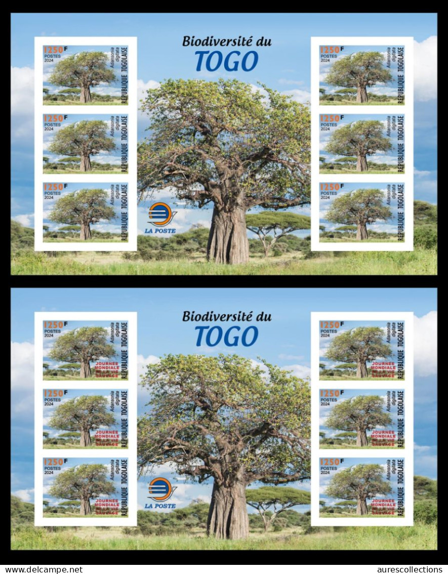 TOGO 2024 MS 6V IMPERF - REGULAR & OVERPRINT - BAOBAB TREE TREES ARBRES ARBRE - BIODIVERSITY BIODIVERSITE - MNH - Bäume