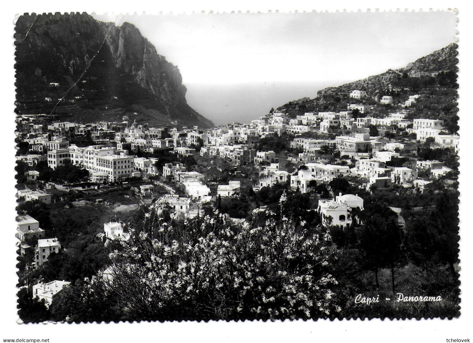 (99). Italie. Italia. Campania. Capri. (1) Pli & Ricordo (1) 1961 - Andere & Zonder Classificatie