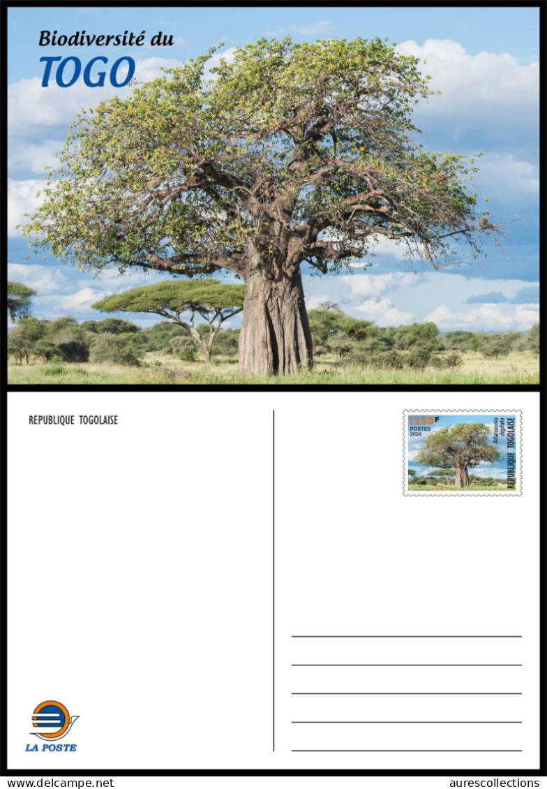 TOGO 2024 STATIONERY CARD - REGULAR - BAOBAB TREE TREES ARBRES ARBRE - BIODIVERSITY BIODIVERSITE - Arbres