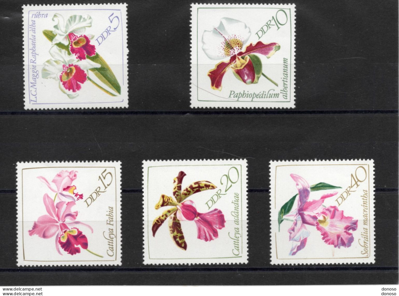 RDA 1968 Orchidées Yvert 1116-1120 NEUF** MNH - Ongebruikt