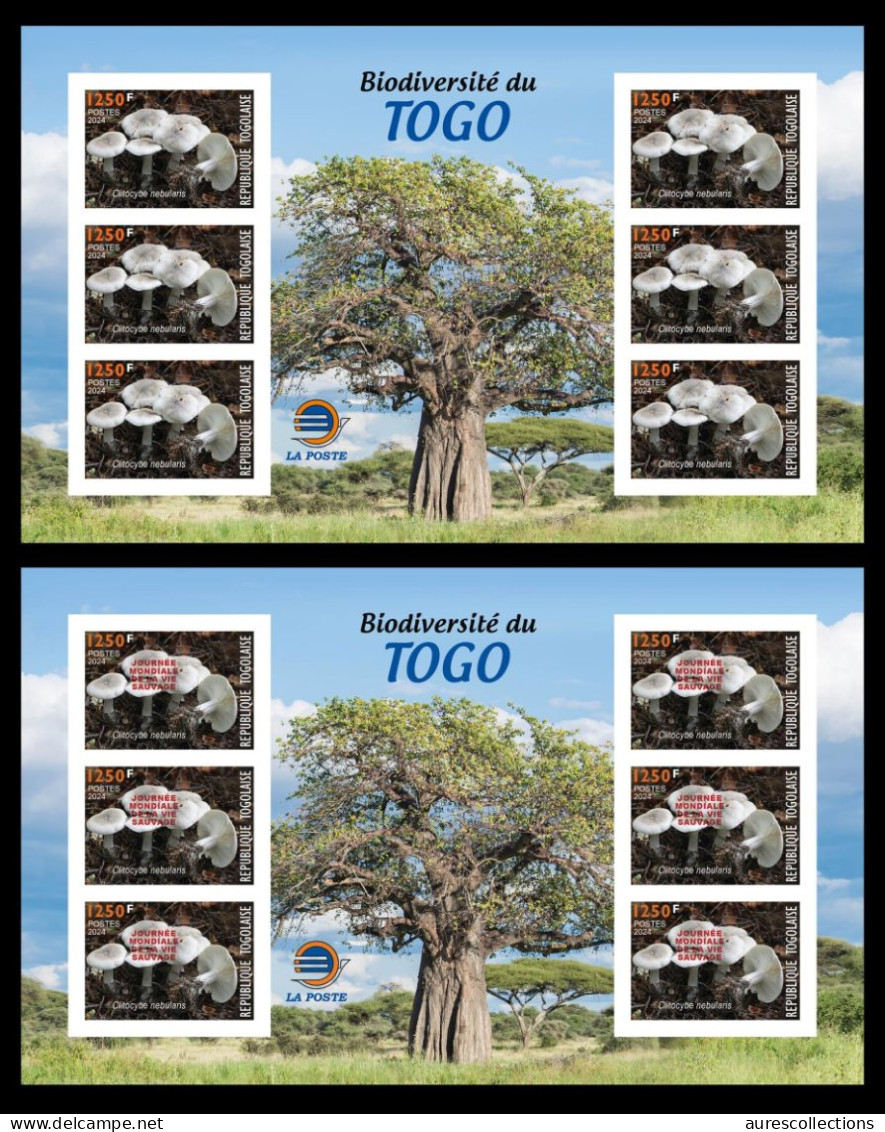 TOGO 2024 MS 6V IMPERF - REGULAR & OVERPRINT - MUSHROOMS MUSHROOM CHAMPIGNONS - BIODIVERSITY BIODIVERSITE - MNH - Pilze