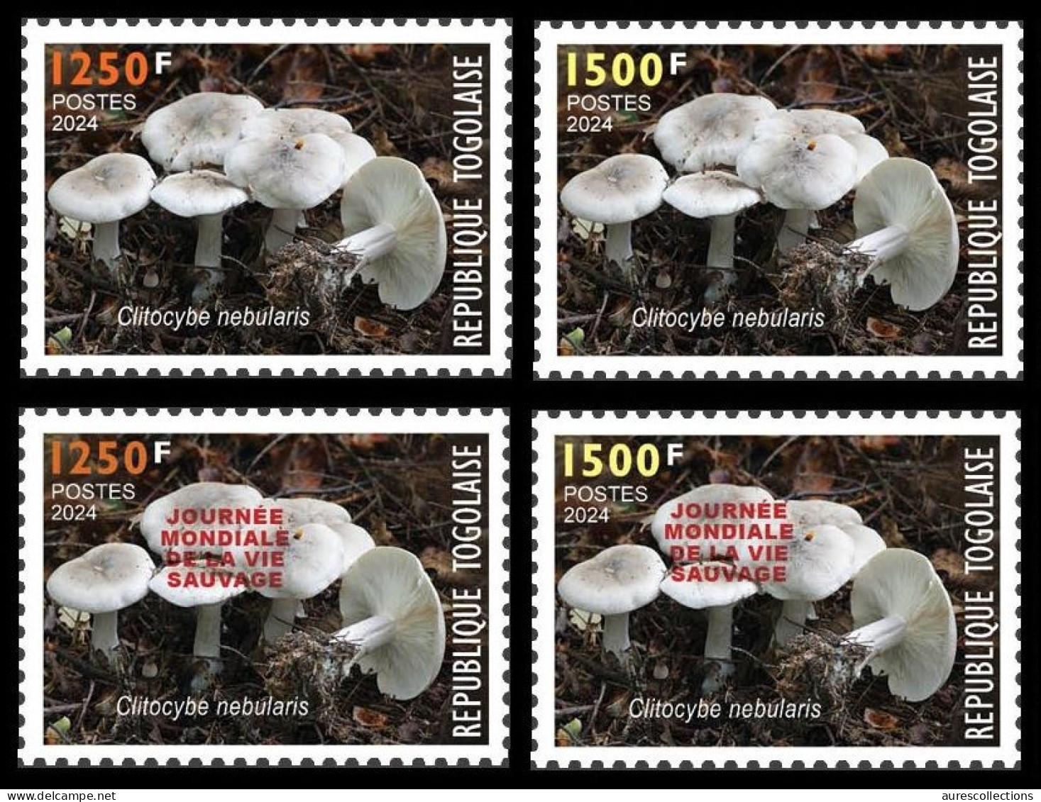 TOGO 2024 SET 4V - REGULAR & OVERPRINT - MUSHROOMS MUSHROOM CHAMPIGNONS - BIODIVERSITY BIODIVERSITE - MNH - Mushrooms