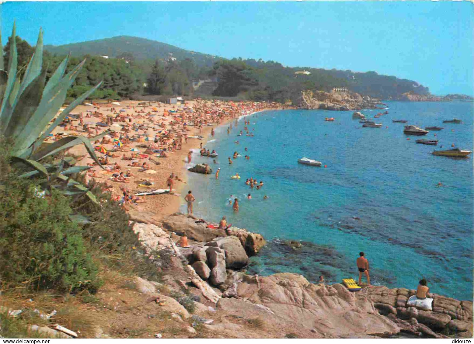 Espagne - Espana - Cataluna - Costa Brava - Playa De Aro - Playa D'en Rovira - Plage - CPM - Voir Scans Recto-Verso - Gerona