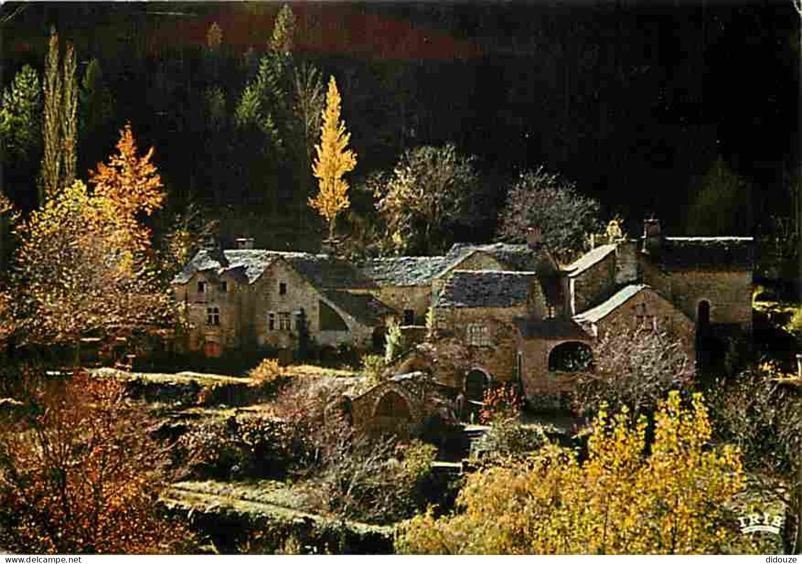 48 - Les Gorges Du Tarn - Vieux Village Lozérien - CPM - Voir Scans Recto-Verso - Gorges Du Tarn