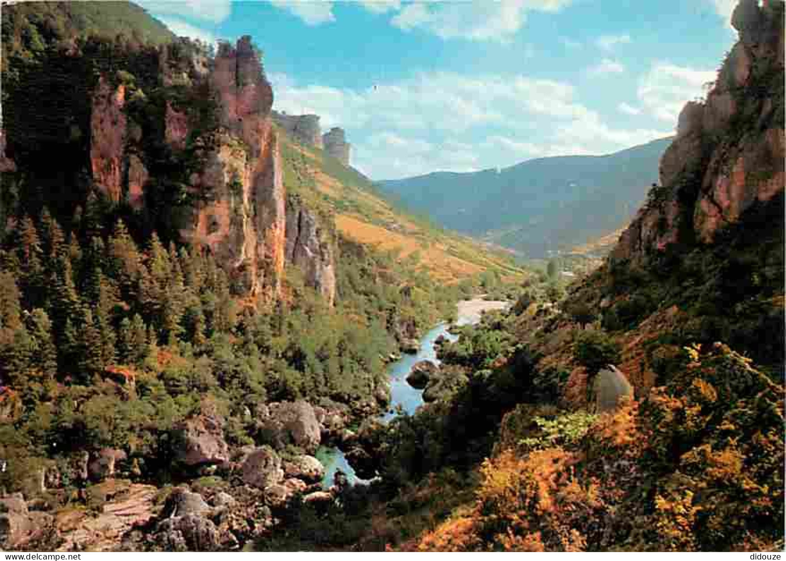 48 - Les Gorges Du Tarn - En Aval Du Pas Du Soucy - Vue Prise Du Belvédère - Flamme Postale - CPM - Voir Scans Recto-Ver - Gorges Du Tarn