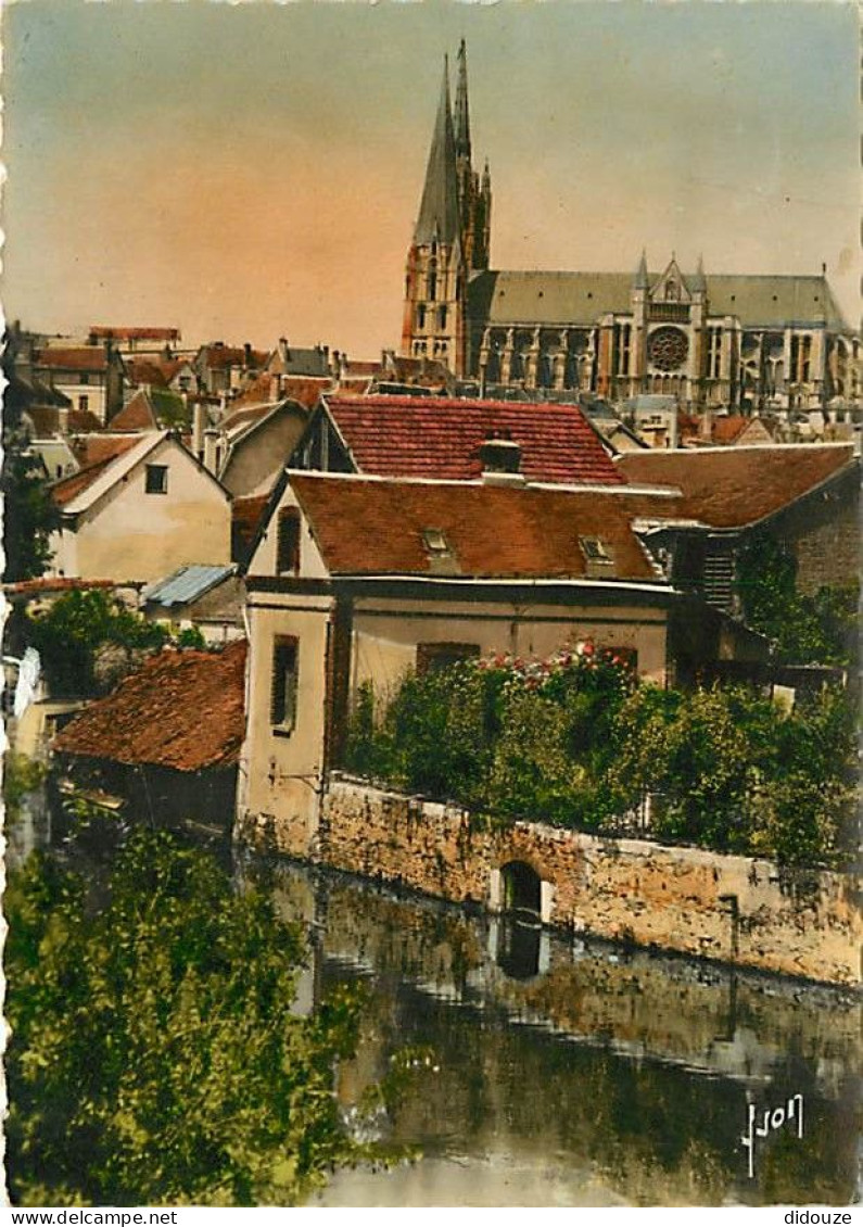 28 - Chartres - Les Rives De L'Eure Et La Calhédrale - CPM - Voir Scans Recto-Verso - Chartres