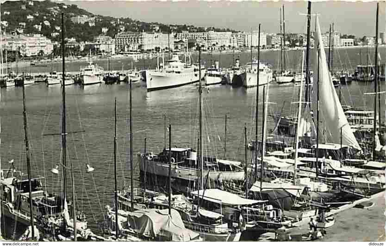 06 - Cannes - Un Coin Du Port - Les Yachts - Bateaux - Voiliers - Voiles - CPM - Voir Scans Recto-Verso - Cannes