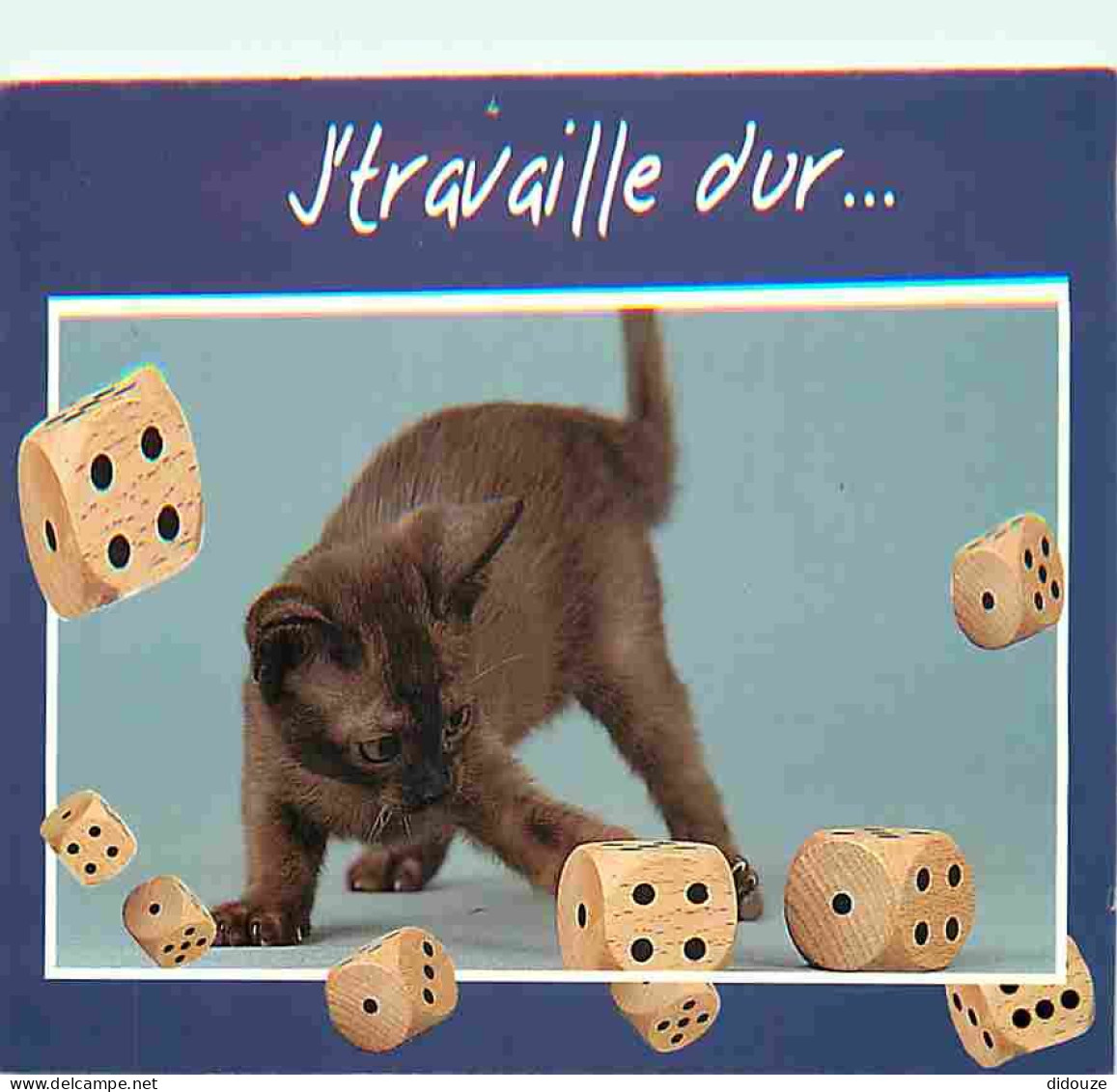 Animaux - Chats - Chatons - Carte Humoristique - CPM - Voir Scans Recto-Verso - Katzen