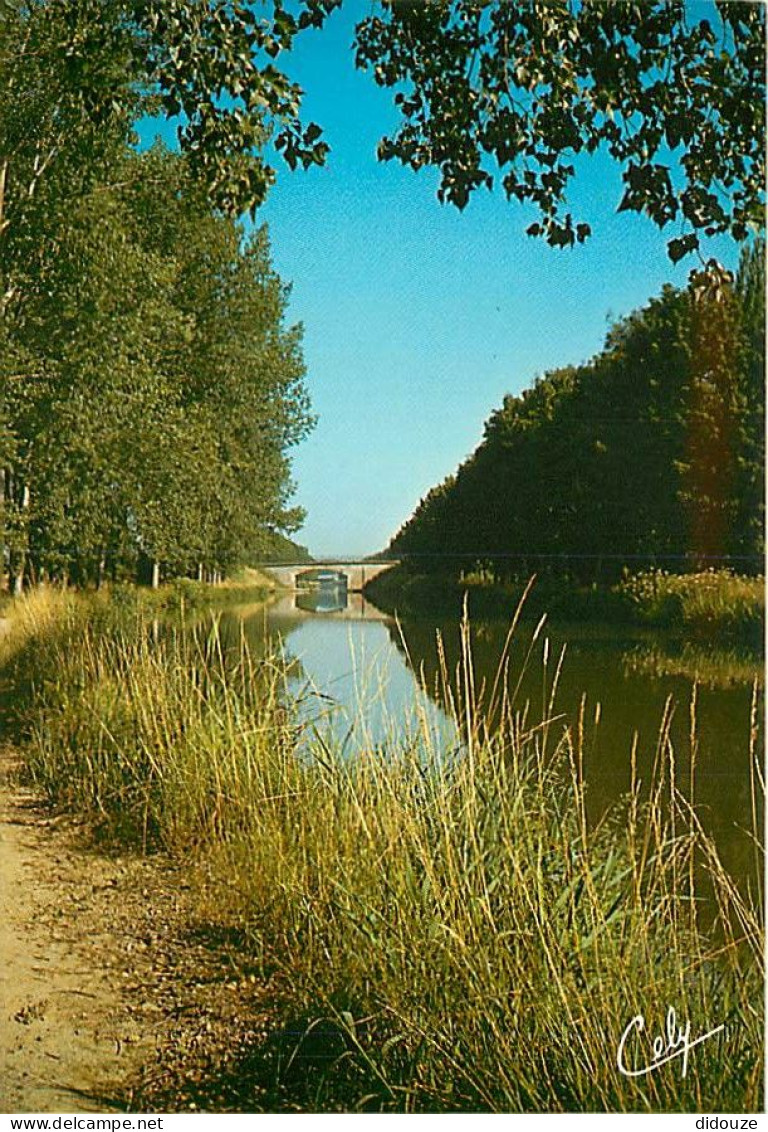 31 - Haute Garonne - Canal Du Midi - CPM - Voir Scans Recto-Verso - Autres & Non Classés