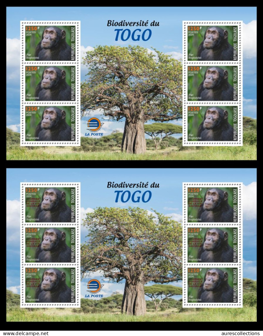 TOGO 2024 MS 6V - REGULAR & OVERPRINT - CHIMPANZEE CHIMPANZES MONKEY MONKEYS APES - BIODIVERSITY BIODIVERSITE - MNH - Schimpansen