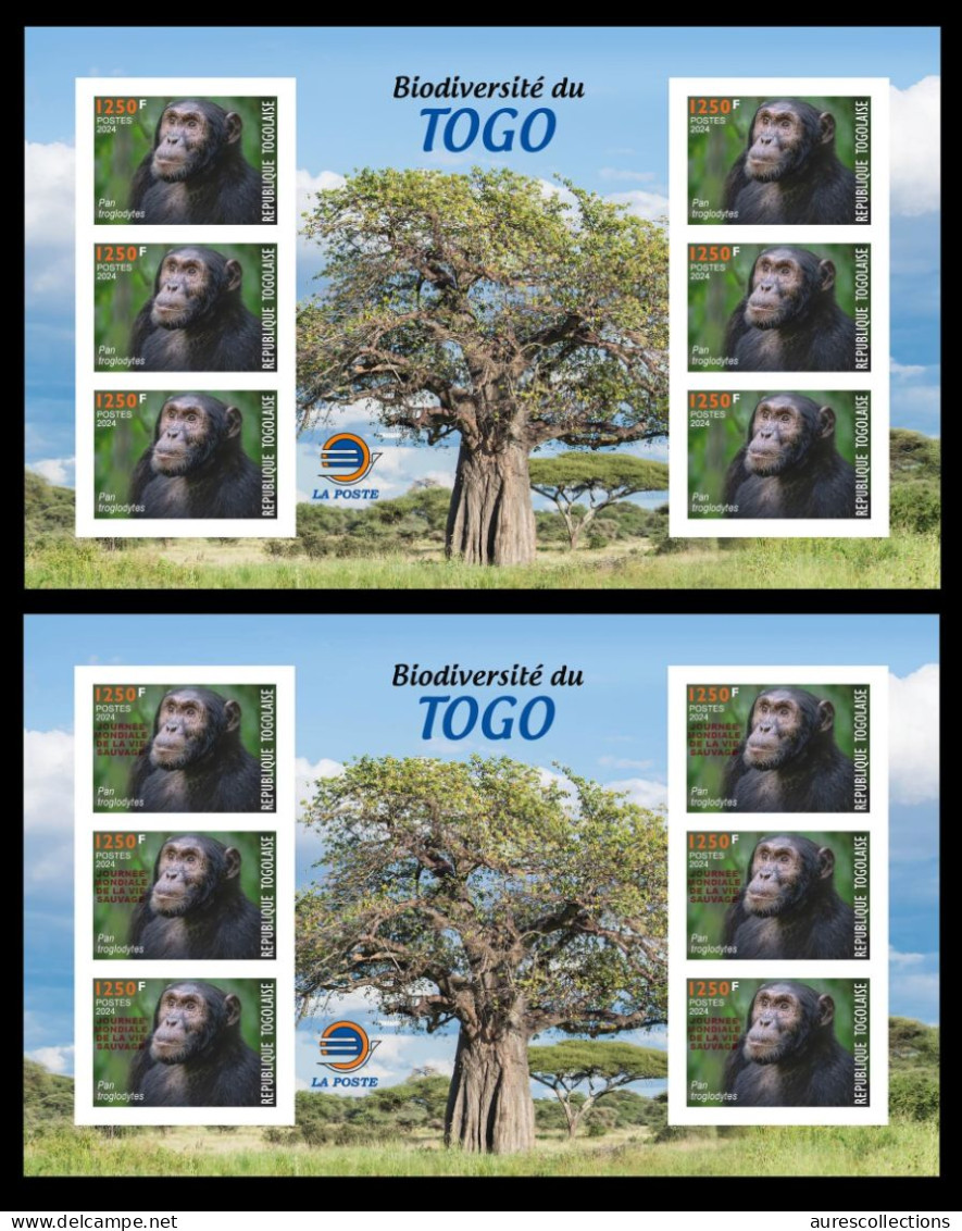 TOGO 2024 MS 6V IMPERF - REGULAR & OVERPRINT - CHIMPANZEE MONKEY MONKEYS APES - BIODIVERSITY BIODIVERSITE - MNH - Chimpanzés