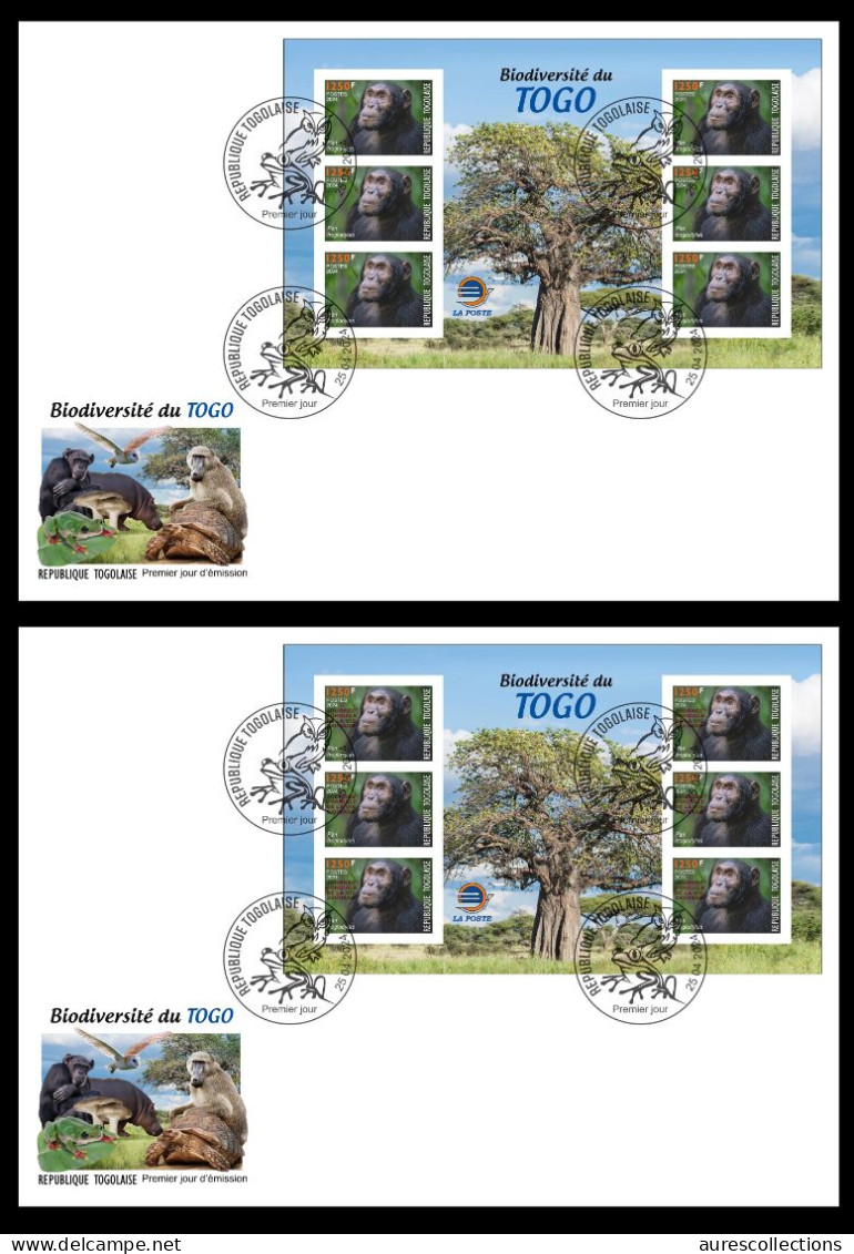 TOGO 2024 FDC MS 6V IMPERF - REGULAR & OVERPRINT - CHIMPANZEE MONKEY MONKEYS APES - BIODIVERSITY BIODIVERSITE - Chimpanzés