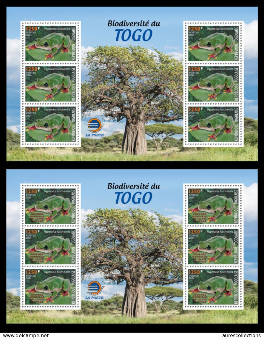 TOGO 2024 MS 6V - REGULAR & OVERPRINT - FROG FROGS GRENOUILLE GRENOUILLES AMPHIBIANS - BIODIVERSITY BIODIVERSITE - MNH - Kikkers