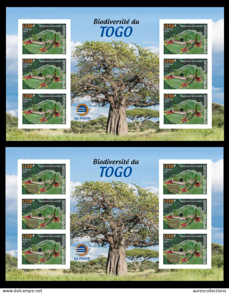 TOGO 2024 MS 6V IMPERF - REGULAR & OVERPRINT - FROG FROGS GRENOUILLE GRENOUILLES - BIODIVERSITY BIODIVERSITE - MNH - Frogs