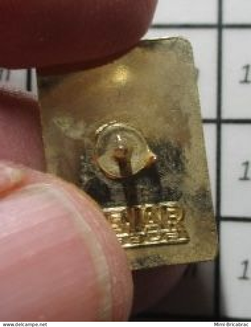 1818B Pin's Pins / Beau Et Rare / AUTRES / COMMUNITY De Quoi ? - Sonstige & Ohne Zuordnung