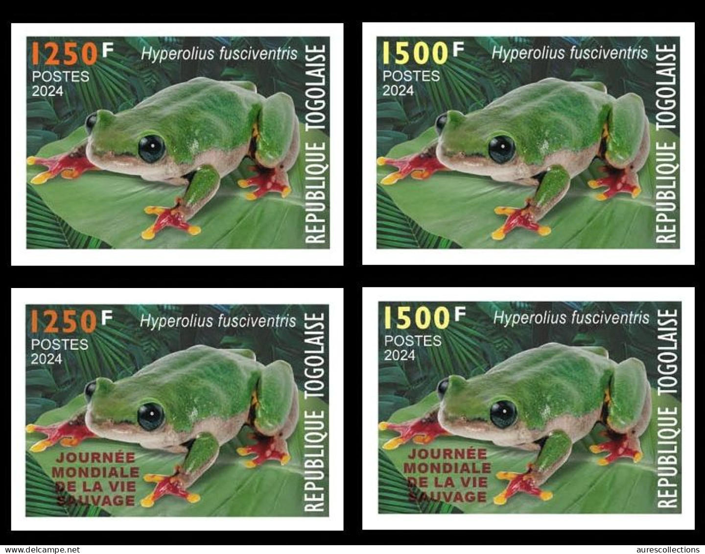 TOGO 2024 SET 4V IMPERF - REGULAR & OVERPRINT - FROG FROGS GRENOUILLE GRENOUILLES - BIODIVERSITY BIODIVERSITE - MNH - Frogs
