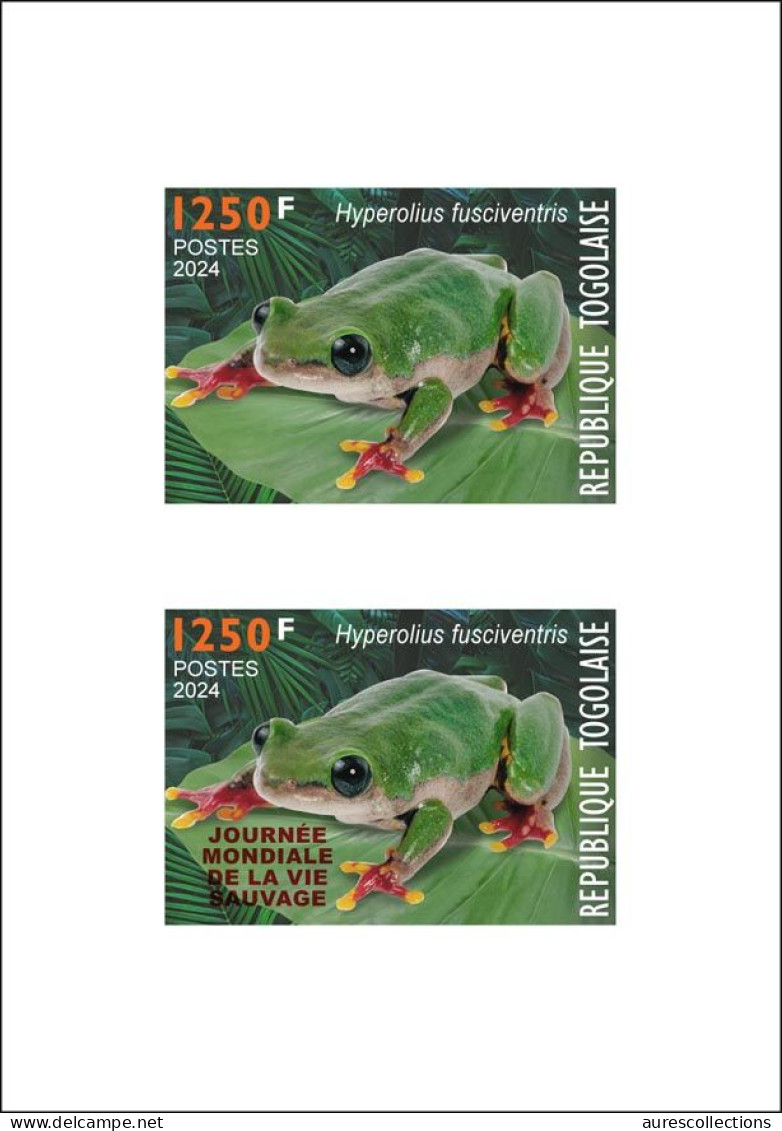 TOGO 2024 DELUXE PROOF - REGULAR & OVERPRINT - FROG FROGS GRENOUILLE GRENOUILLES - BIODIVERSITY BIODIVERSITE - Frogs