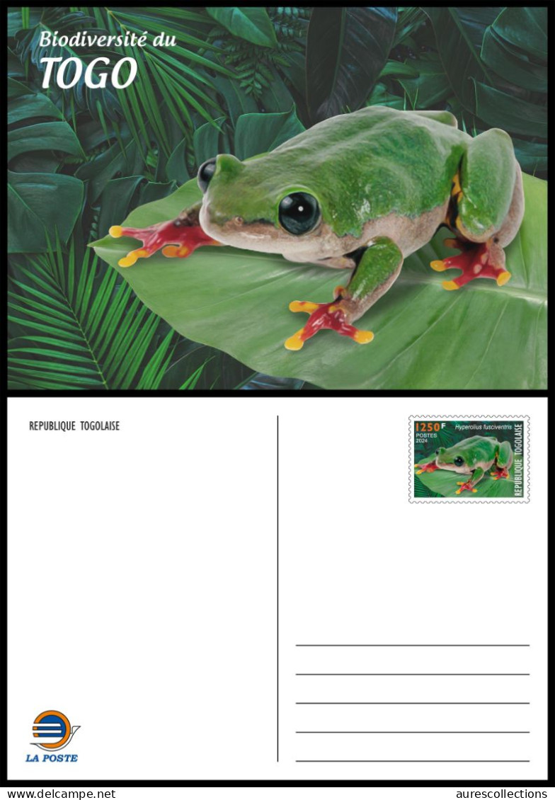 TOGO 2024 STATIONERY CARD - REGULAR - FROG FROGS GRENOUILLE GRENOUILLES - BIODIVERSITY BIODIVERSITE - Kikkers