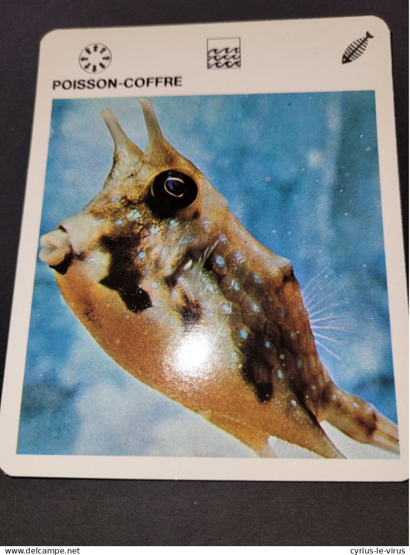 Fiche Illustrée Animaux  ** Poisson Coffre - Animaux