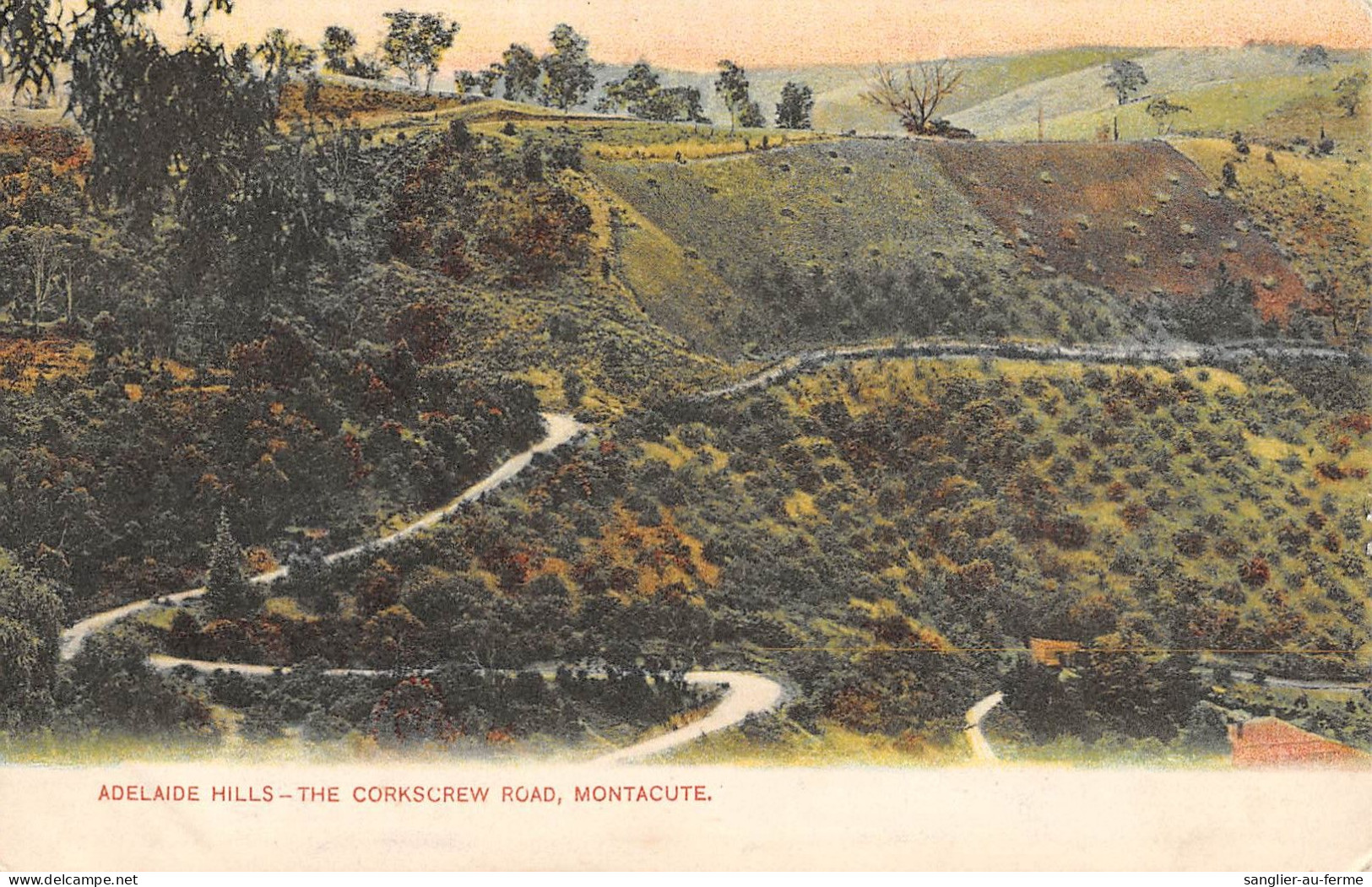 CPA AUSTRALIE / ADELAIDE HILLS / THE CORKSCREW ROAD / MONTACUTE - Sonstige & Ohne Zuordnung