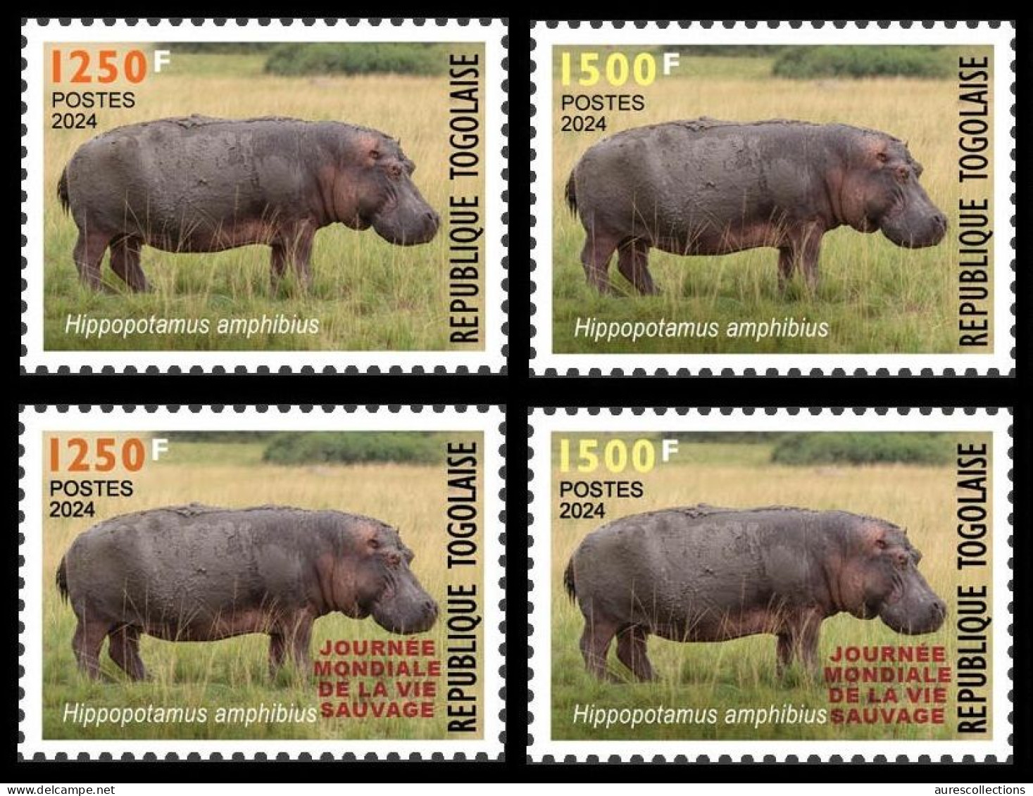 TOGO 2024 SET 4V - REGULAR & OVERPRINT - HIPPOPOTAMUS HIPPOPOTAME HIPPOPOTAMES - BIODIVERSITY BIODIVERSITE - MNH - Andere & Zonder Classificatie