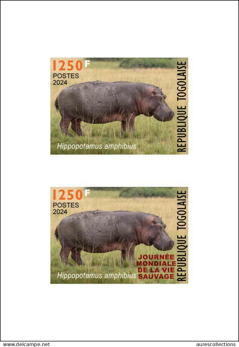 TOGO 2024 DELUXE PROOF - REGULAR & OVERPRINT - HIPPOPOTAMUS HIPPOPOTAME HIPPOPOTAMES - BIODIVERSITY BIODIVERSITE - Autres & Non Classés