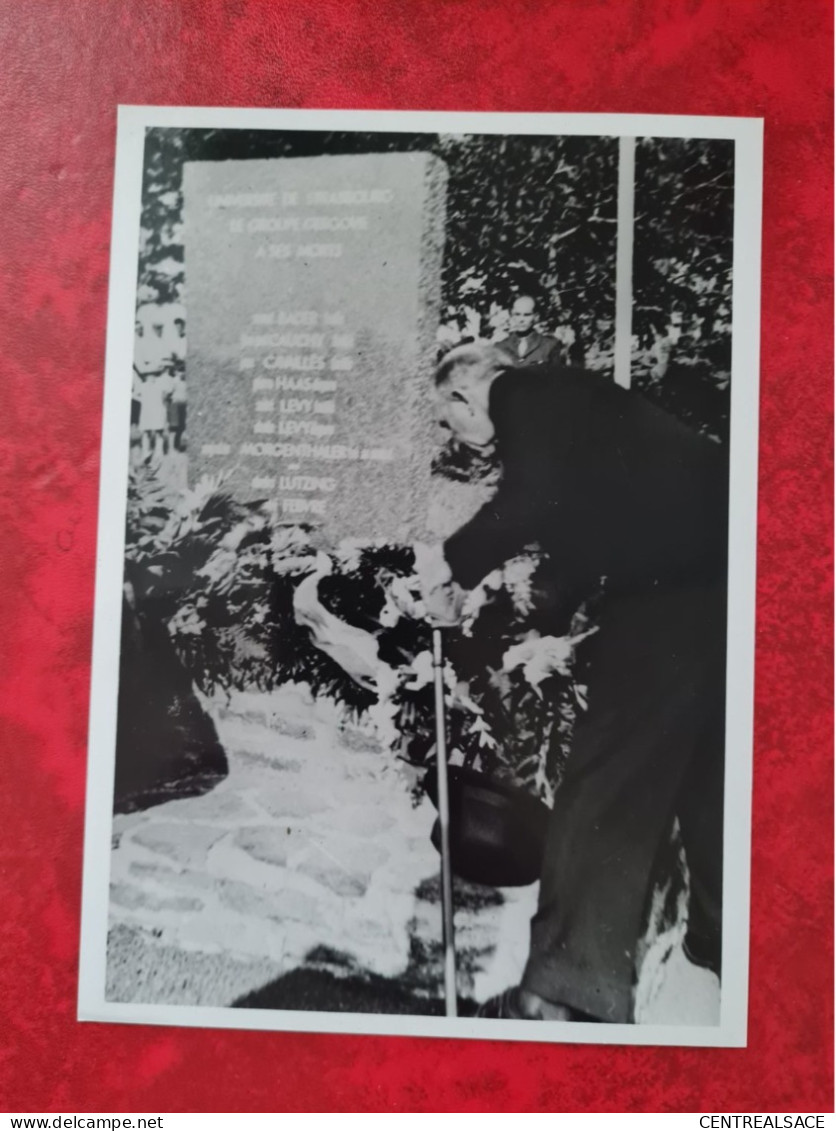 PHOTO LOT GERGOVIE 1940 LEVER DES COULEURS ETUDIANTS UNIVERSITE STRASBOURGEOIS MONUMENT AUX MORTS - Other & Unclassified