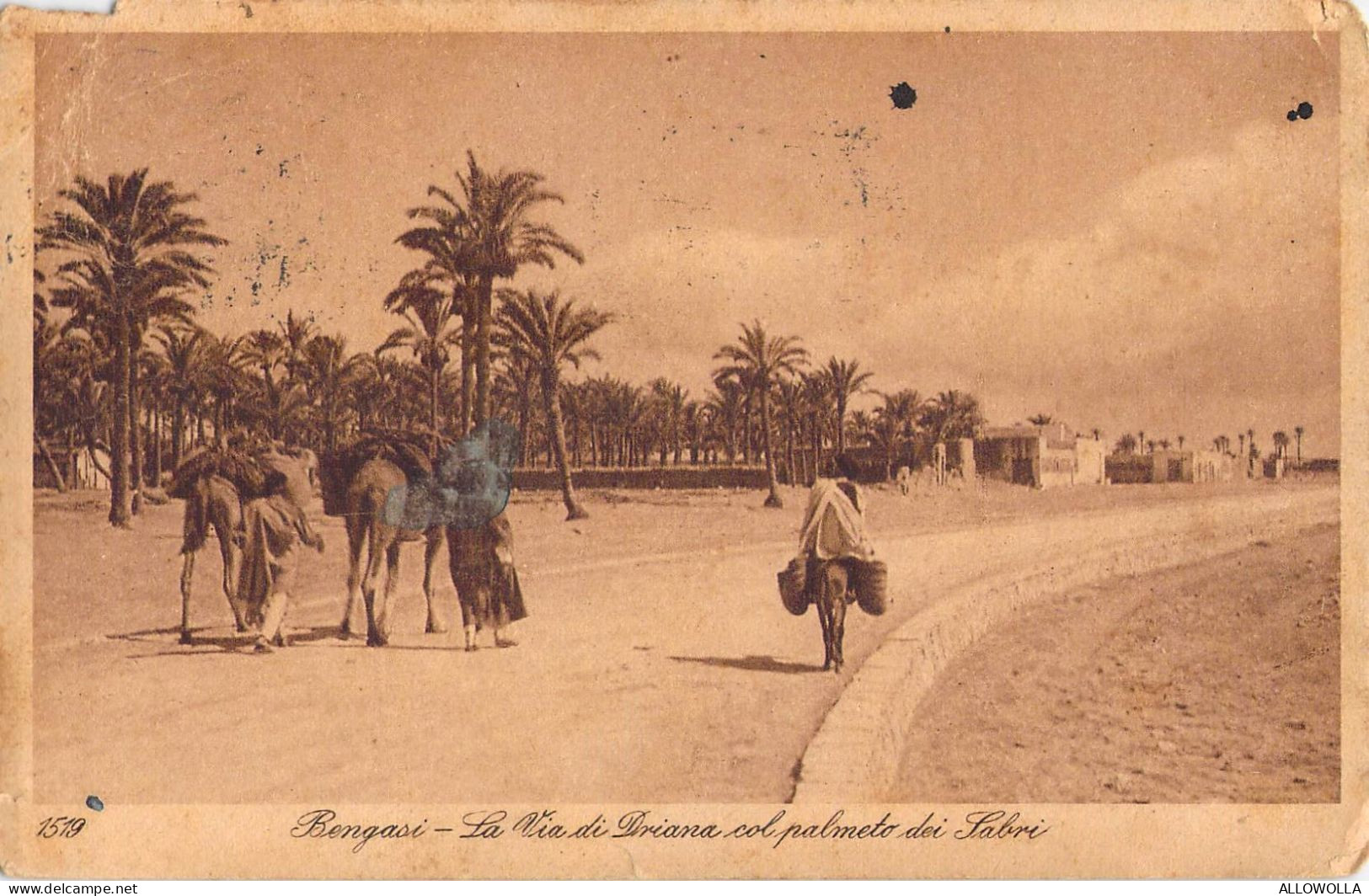 26930 " BENGASI-LA VIA DI DRIANA COL PALMETO DEI SABRI " ANIMATA-VERA FOTOCART.POST.  SPED.1925 - Libia