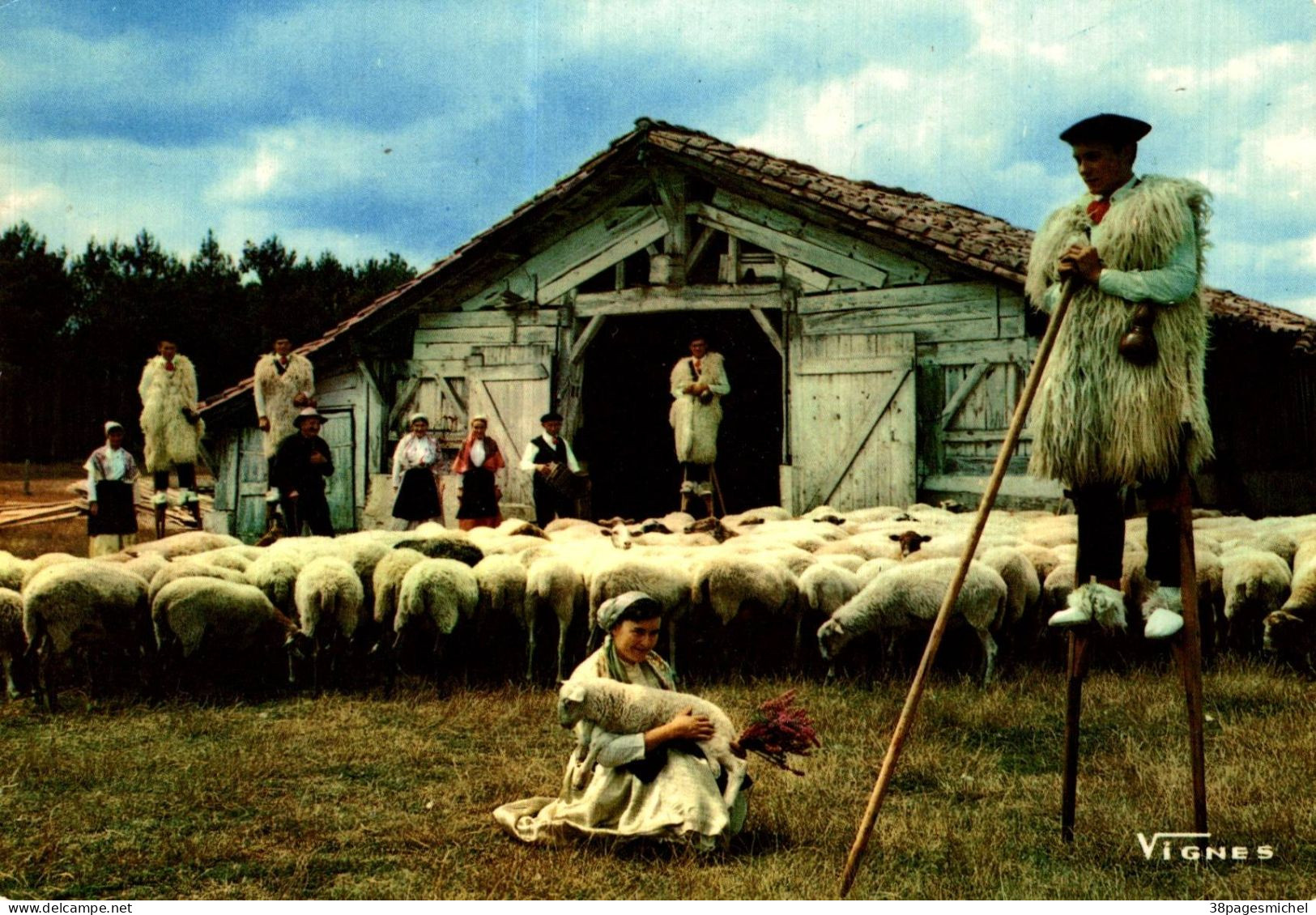 K1105 - Visage Des LANDES - D40 - Les Échassiers Et Leur Troupeau De Moutons - Autres & Non Classés