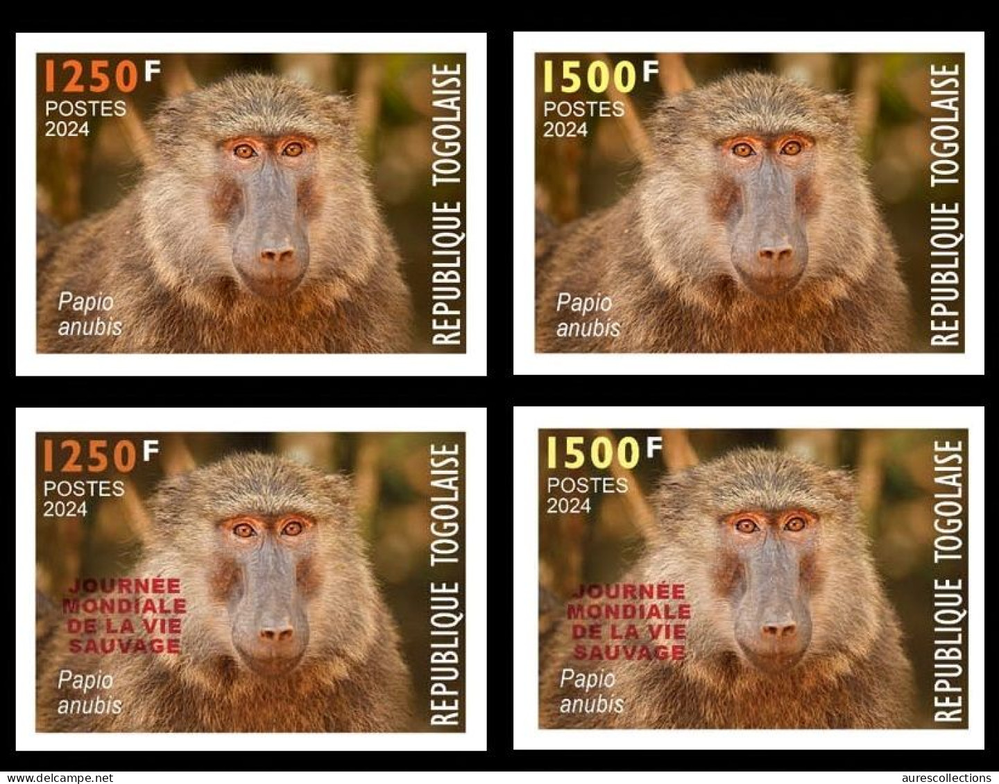 TOGO 2024 SET 4V IMPERF - REGULAR & OVERPRINT - MONKEY MONKEYS APES APE BABOON SINGES - BIODIVERSITY BIODIVERSITE - MNH - Monkeys